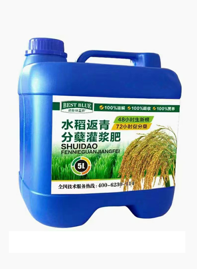 水稻反青分蘖灌浆肥